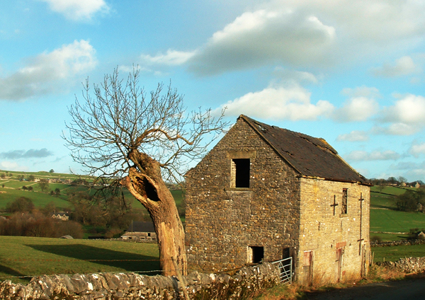 barn and tree web.jpg